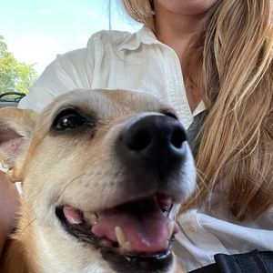 Meet your Posher, Shawn